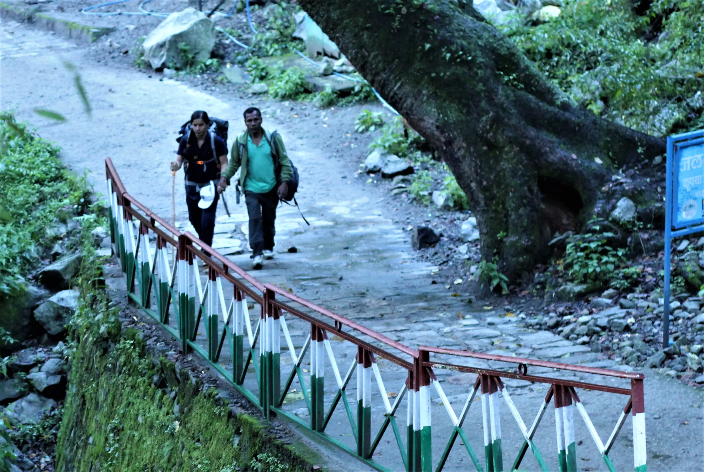 Trekkers crossing the footbridge on the Govindghat–Ghangaria trail